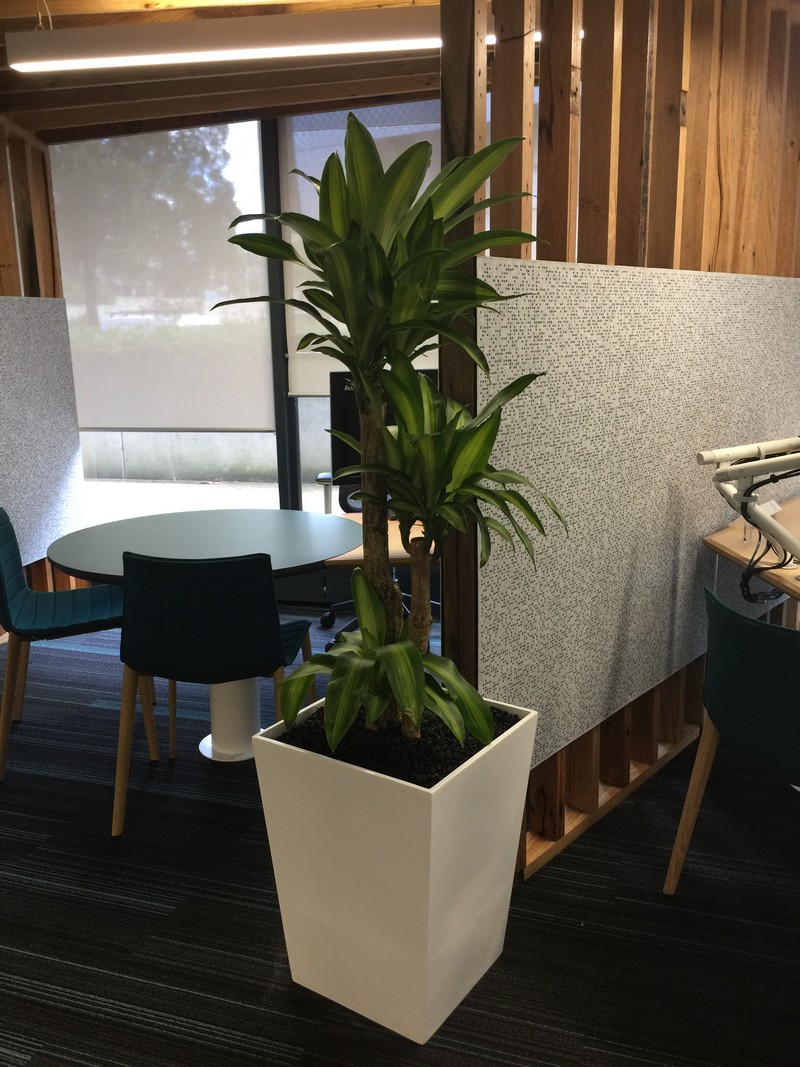 Gallery 8 - Plants at Work